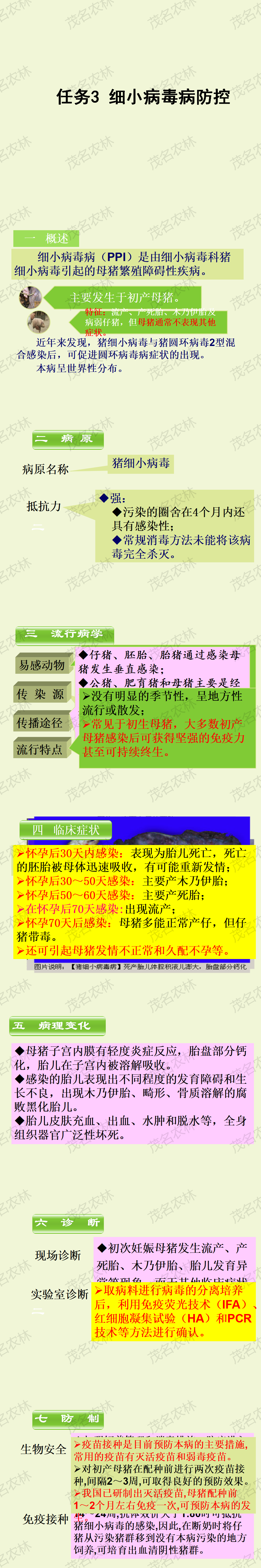 任务3 细小病毒病防控.png