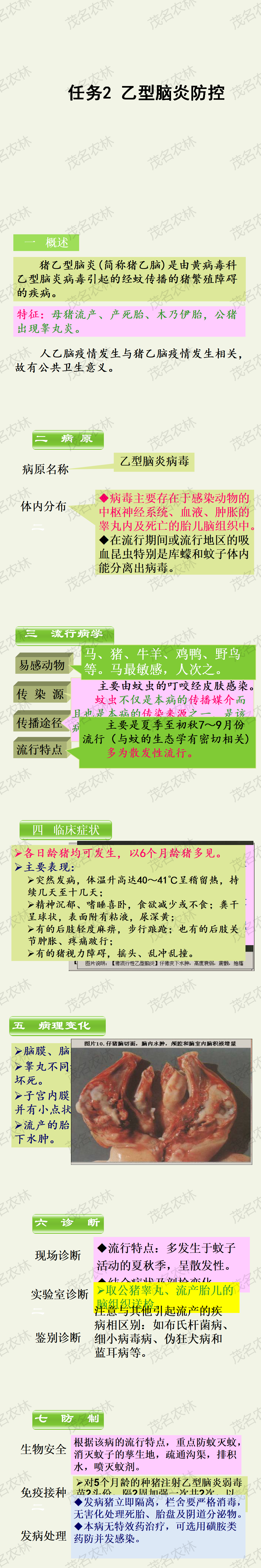 任务2 乙型脑炎防控.png